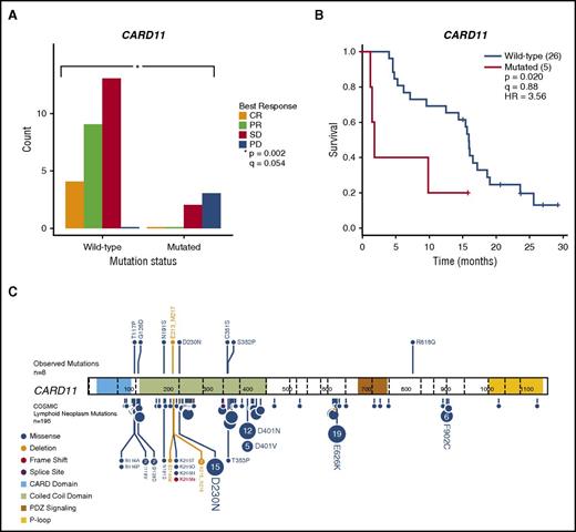 Figure 3. Mutations in CARD11 are associated with inferior clinical outcomes after ibrutinib therapy in relapsed or refractory FL patients. (A) The distribution of best response stratified by CARD11 mutation status for patients with available pre-ibrutinib lymph node samples (n = 31). (B) PFS was significantly shorter in patients with CARD11 mutations (n = 5) compared with wild-type patients. (C) Observed CARD11 mutations (n = 8; top) and CARD11 mutations in the Catalogue of Somatic Mutations in Cancer (COSMIC; bottom) found in lymphoid neoplasms (n = 195). Amino acid positions are indicated by numbers within peptide representations. Exon boundaries are indicated by vertical dashed lines. Patients with mutations in the coiled-coil domain had an event in <12 months. Several mutations observed in relapsed or refractory FL patients examined in this study were previously cataloged in COSMIC (eg, G126D and D230N). The protein mutation diagram was created with ProteinPaint.22 HR, hazard ratio.