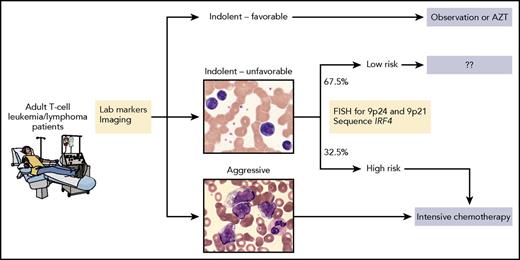 Shown is one possible approach to treating patients that is based on known clinical and laboratory factors as well as genetic alterations identified by Kataoka et al. Specifically, patients with chronic type, unfavorable disease who harbor 1 or more of the 3 genetic alterations would receive intensive therapy for aggressive disease whereas those who do not harbor any of those alterations may not require intensive therapy. Future analyses and prospective trials are needed to address whether this type of approach can refine patient selection and maximize therapeutic benefit. AZT, zidovudine; FISH, fluorescent in situ hybridization. The microscopic images were kindly provided by Peter Maslak, Memorial Sloan Kettering Cancer Center. Professional illustration by Patrick Lane, ScEYEnce Studios.