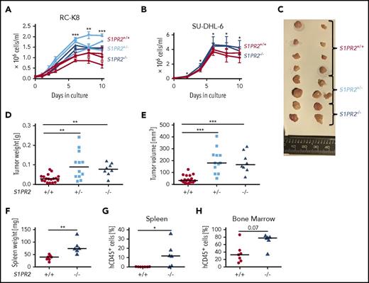 Figure 1. Genomic editing of the S1PR2 locus provides a growth advantage to DLBCL cell lines in vitro and in vivo. The DLBCL cell lines (A) RC-K8 and (B) SU-DHL-6 were subjected to S1PR2 inactivation using CRISPR/Cas9 editing. Absolute cell counts of 2 to 3 independent clones derived from FACS single cells of the indicated genotypes were compared under standard cell culture conditions over 10 days without medium change. Pooled results from (A) 2 of a total of 4 independent experiments and (B) of 4 independent experiments are shown. P values were calculated using the Student t test on the average value for each genotype pooling S1PR2+/− and S1PR2−/− clones. (C-E) Ten million cells each of 5 S1PR2+/+ clones (red), 4 S1PR2+/− clones (light blue), and 2 S1PR2−/− clones (all in the RC-K8 cell line; blue) were injected subcutaneously into the flanks of NSG mice. (C) Tumors were excised, representative macroscopic images were taken, and (D) tumor weights and (E) volumes were determined at the study end point 40 days post injection. Every dot represents 1 tumor, and plots show pooled data from 2 independent experiments. (F-H) Ten million cells per mouse of 2 to 3 replicates each of 3 independent S1PR2+/+ clones (red) and 3 S1PR2−/− clones (all in the SU-DHL-6 cell line; blue) were injected IV into MISTRG mice. Mice were euthanized 35 days after tumor cell injection, (F) their spleens were weighed, and the frequencies of hCD45+ cells in the (G) spleen and (H) bone marrow was determined by flow cytometry. Every dot represents 1 mouse; graphs represent pooled data from 2 independent experiments. (D-H) Horizontal lines indicate medians; P values were calculated using the Mann-Whitney U test. *P < .05; **P < .01; ***P < .001.