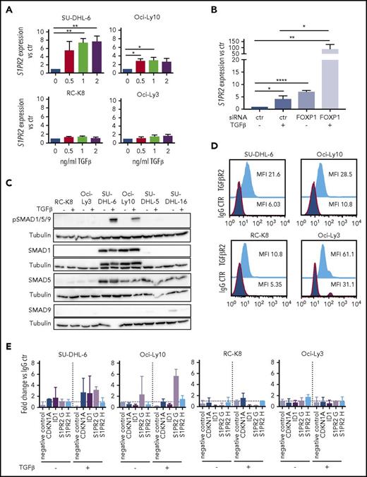 Figure 3. S1PR2 expression is regulated by the TGF-β/SMAD signaling pathway. (A) S1PR2 expression after 24 hours of treatment with the indicated increasing doses of TGF-β, as assessed in the SU-DHL-6, Oci-Ly10, RC-K8, and Oci-Ly3 DLBCL cell lines by qRT-PCR. (B) The DLBCL cell line SU-DHL-6 was treated with FOXP1 targeting siRNA for 48 hours and subjected to treatment with 2 ng/mL TGF-β for an additional 24 hours. (A-B) Data are pooled from 3 or more independent experiments. Graphs show mean ± SEM; P values were calculated using the Student t test. (C) The indicated DLBCL cell lines were treated with 2 ng/mL TGF-β for 1 hour and subjected to immunoblotting with antibodies against the indicated SMAD proteins, p-SMAD1/5/9 and tubulin. Representative immunoblots of at least 2 independent experiments are shown. (D) TGF-βR2 surface expression of the indicated DLBCL cell lines, as assessed by flow cytometry. The plots are representative for 2 independent experiments. (E) pSMAD1/5/9 ChIP of cells treated or not with 5 ng/mL TGF-β for 4 hours; an unspecific rbIgG antibody was used as control. Eluted DNA was subjected to PCR using primers amplifying 2 regions 2.5 and 5 kb upstream of the S1PR2 TSS. MyoD was amplified as negative control; CDKN1A and ID1 were used as positive controls for canonical TGF-β and BMP signaling. Graphs represent the fold change of the yield relative to 1% input of the pSMAD1/5/9 sample vs rbIgG; means ± SD of 2 independent experiments are shown. *P < .05; **P < .01; ***P < .001; ****P < .0001.