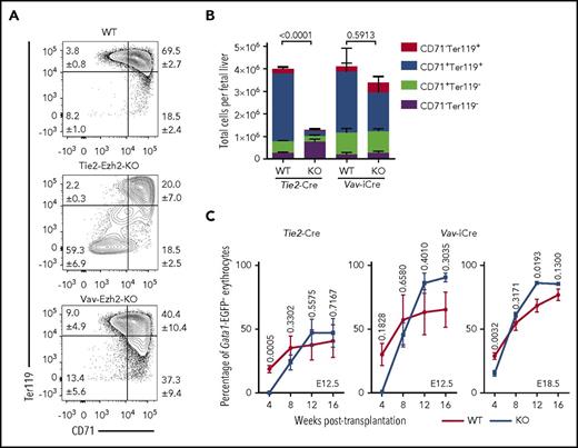 Figure 2. Absence of Ezh2 leads to cell-extrinsically mediated anemia. (A) Representative FACS plots showing distinct block in E12.5 FL erythropoiesis in Tie2-Ezh2-KO but not Vav-Ezh2-KO embryos. Shown are the mean values with SEM for the frequencies of the indicated population across all experiments. (B) Absolute numbers of E12.5 FL erythroid progenitor populations (Tie2-Ezh2-WT, n = 26, 5 independent experiments; Tie2-Ezh2-KO, n = 7, 4 independent experiments; Vav-Ezh2-WT, n = 6, 2 independent experiments; Vav-Ezh2-KO, n = 5, 2 independent experiments). Two-way analysis of variance was used to assess statistical significance. Error bars represent SEM. (C) Peripheral Gata1-EGFP− erythroid (Ter119+) reconstitution kinetics in CD45.1 Gata1-EGFP recipient mice transplanted with 500 000 CD45.2 Tie2-Ezh2-WT (n = 7), Vav-Ezh2-WT (n = 2), Tie2-Ezh2-KO (n = 12) or Vav-Ezh2-KO (n = 3) total E12.5 FL cells; Vav-Ezh2-WT (n = 5) or Vav-Ezh2-KO (n = 7) E18.5 FL cells, together with 1 000 000 CD45.1 Gata1-EGFP competitor BM cells. Data are pooled from 1 (Vav-iCre; E12.5) or 2 (Tie2-Cre; E12.5 and Vav-iCre; E18.5) independent experiments. Two-tailed Student t tests were used to assess statistical significance. Error bars represent SEM.