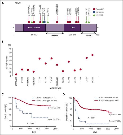 Figure 1. A gene diagram and prognostic impact in pediatric AML patients with RUNX1 mutations. (A) A gene diagram depicting RUNX1 mutations in pediatric patients with AML (NCBI reference sequence; NM_001001890). (B) A VAF of 14 RUNX1 mutations. (C) A comparison of the OS and (D) EFS between patients with and without RUNX1 mutations. NRDBc, the C-terminal negative regulatory region for DNA binding; NRHc, the C-terminal negative regulatory region for heterodimerization; TAD, transcription activation domain.