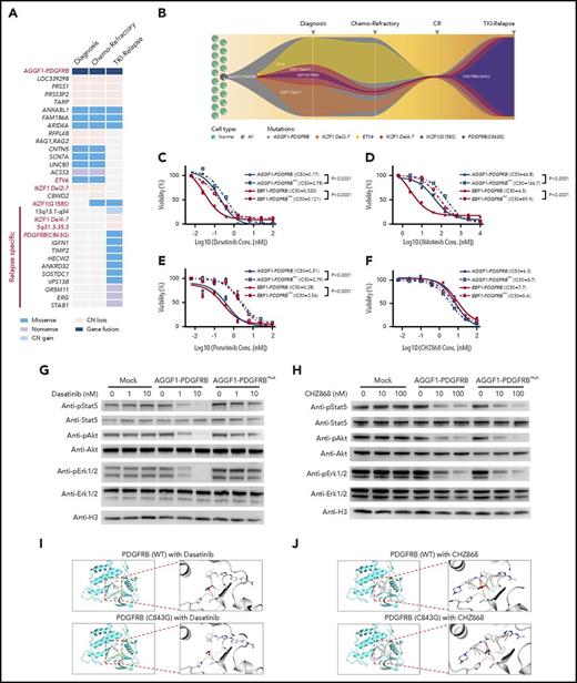 Figure 2. Mutation of PDGFRBC843G caused TKI resistance in Ba/F3 cells with PDGFRB fusions. (A) Mutational landscape of leukemia cells at diagnosis, end of induction (chemotherapy refractory), and relapse. (B) A model of clonal evolution across disease progression. One subclone within the founding clone evolved to become the dominant clone at relapse, including mutations in PDGFRB. (C-F) Drug sensitivity of Ba/F3 cells with AGGF1-PDGFRB, EBF1-PDGFRB, AGGF1-PDGFRB carrying PDGFRBC843G (AGGF1-PDGFRBmut) or EBF1-PDGFRBmut upon dasatinib, nilotinib, ponatinib, and CHZ868 was detected by MTT assay. (G-H) Phosphorylation of Stat5, Akt, and Erk1/2 in Ba/F3 cells with AGGF1-PDGFRB, AGGF1-PDGFRBmut, and empty vector treated with dasatinib or CHZ868 as indicated concentration was detected by western blot. (I-J) The structure model of wild-type PDGFRB or mutant PDGFRBC843G with dasatinib or CHZ868. The cysteine (wild-type) or glycine (mutant) residue at position 843 is shown in red. All experiments were performed in triplicate. *P < .05; **P < .01; ***P < .001. CN, copy number; Conc., concentration; CR, complete remission IC50, 50% maximal inhibitory concentration.