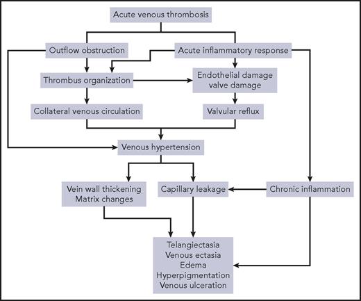 Figure 1. Postulated pathophysiology of PTS.
