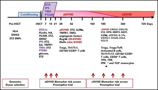 Figure 3. Most validated posttransplantation biomarkers by chronological outcomes. Chronological outcomes posttransplantation and biomarkers are all discussed in “Most validated and recent biomarkers.” BAFF, B-cell–activating factor; HA, hyaluronic acid; MMP3, matrix metalloproteinase 3; OPN, osteopontin; Reg3α, regenerating islet-derived 3-α; sCD163, soluble CD163; Teff, T effector; TIM3, T-cell immunoglobulin mucin-3; TNFR1, tumor necrosis factor receptor-1.
