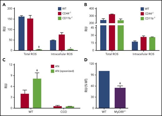 Figure 2. Activation of NADPH oxidase during efferocytosis in a CD11b-MyD88–dependent manner. PEMs from WT, CD11b−/−, and CD44−/− mice were either stimulated with (A) hANs or (B) zymosan, and ROS production measured as lucigenin-elicited chemiluminescence. (C) WT PEMs were stimulated with hANs or hANs opsonized with pooled human serum and ROS detected using lucigenin. (D) PEMs from WT and Myd88−/− mice were stimulated with hANs. For each graph, total integrated responses measured as relative light units/s (RLU) recorded over 1 hour are shown. Data from 1 of 3 experiments (duplicate wells) are shown as mean ± SD. Statistical differences between groups were calculated using 2-way ANOVA with Bonferroni posttest correction. *P < .05; ϕP < .01.