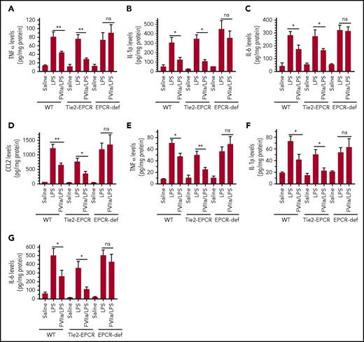 Figure 3. FVIIa attenuates LPS-induced inflammatory cytokine elaboration in the lung and kidney tissues of the mice in EPCR-dependent fashion. WT C57 BL/6J, EPCR-overexpressing (Tie2-EPCR), or EPCR-deficient (EPCR-def) mice were administered with saline or human FVIIa (250 µg/kg body weight) IV via the tail vein. After 2 hours, the mice receiving saline were left either unchallenged (saline) or administered with LPS (5 mg/kg; LPS) intraperitoneally. The same dose of LPS was administered in parallel to mice injected with FVIIa. Six hours following LPS administration, the mice were killed by exsanguination, perfused with saline to remove blood, and the lung and kidney tissues were collected. The tissues were homogenized in the RIPA buffer containing protease inhibitors and centrifuged at 10 000g at 4°C to remove tissue debris. The supernatants were used to measure the cytokines by ELISA. The cytokines measured were TNF-α (A,E), IL-1β (B,F), IL-6 (C,G), and CCL2 (D) in lung tissue (A-D) and kidney tissue (E-G). Data represent mean ± SEM of 3 independent experiments, a total of 6 to 9 animals in a group. *P < .05; **P < .01; ns, not statistically significant.