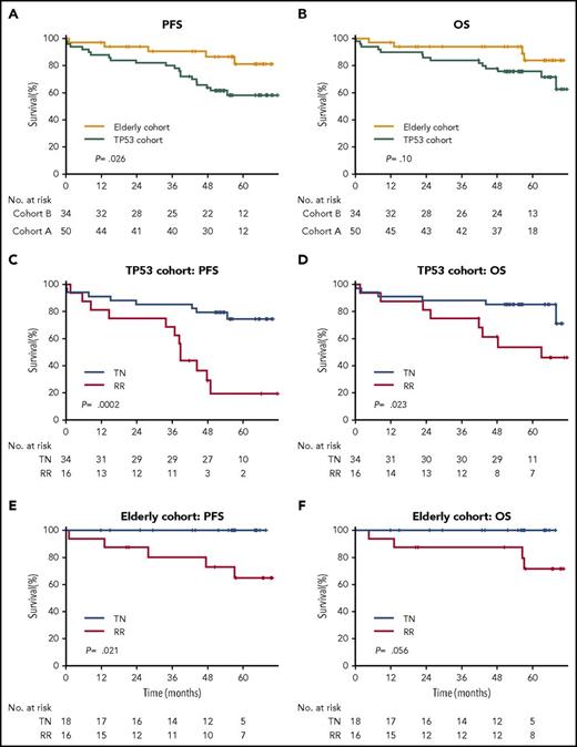 Figure 3. PFS and OS. Kaplan-Meier estimates of PFS and OS of all patients on study (A-B), and by cohort and treatment status (C-D and E-F, respectively); (C-D) for the TP53 cohort and (E-F) for the elderly cohort B. RR, relapsed and/or refractory CLL; TN, treatment-naïve CLL.