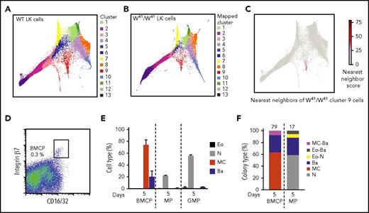 Figure 4. The transcriptional landscape is altered in W41 /W41 mice and lacks cells entering a mast cell differentiation program. (A) Cluster identity of WT LK cells. Cells were clustered into 13 clusters using Louvain clustering on the k-nearest-neighbor graph connected scRNA-seq profiles. Cluster identifiers are ordered by size, with cluster 1 containing the most cells and cluster 13 the least. (B) W41/W41 LK cells from 2 animals were sequenced and then assigned to WT clusters based on the cluster identities of their nearest WT neighbors. The color in the plot indicates which WT cluster the W41/W41 cell was mapped to. (C) The 15 nearest neighbors of W41/W41 LK cells from cluster 9 were identified in the WT LK data. Nearest neighbor score represents the number of times a WT is one of those nearest neighbors. (D) Sorting strategy used to isolate BMCPs from bone marrow of W41/W41 mice. The frequency of BMCPs is indicated as percentage of Lin−Sca-1−c-Kit+ cells. (E) BMCPs, MPs, and GMPs were cultured in 86 to 100 cell bulk pools for 5 days with myeloid-promoting cytokines and analyzed by flow cytometry. (F) Colonies derived from single BMCPs and MPs cultured in myeloid-promoting conditions were analyzed with flow cytometry. The number of single-cell colonies in which the cell types were determined is indicated above each bar. Supplemental Figure 8C shows the colony sizes. Single GMP colonies were not analyzed. The gating strategy is shown in supplemental Figure 4B,E. The data are pooled from 2 independent experiments. Pooled bone marrow cells from 2 or 3 mice were used in each experiment.