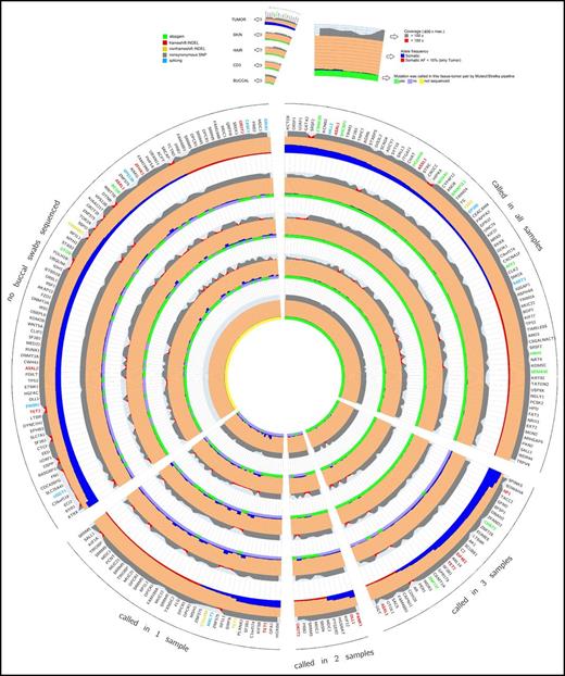 Figure 1. Circos diagram of tumor germ line sequencing metrics. This diagram shows a representation of capture-validated somatic mutations that occur with VAF >5% in the BM sample.11 The 5 wedges represent 4 groups of mutations called by the MuTect/Strelka pipeline and a group with missing values resulting from lack of buccal swab sample collection. The gene names orthogonal to the radius represent protein-changing somatic mutations color coded by the functional class of the mutation. The 5 main rings represent the different tissues and are further separated into 3 sections. The outer section represents the coverage at the position of the somatic mutation followed by the VAF, and the inner section represents the binary calling status (true/false) of the 4 germ line samples called by the MuTect/Strelka pipeline. Coverage, reference, VAFs, and predicted protein consequence (ANNOVAR software) across all resequenced variants are ordered by number of tumor-germ line pairs that call that variant. Each ring represents a sequenced tissue type, and those tumor–germ line pairs that called the plotted variant are denoted in green (gray if not called).