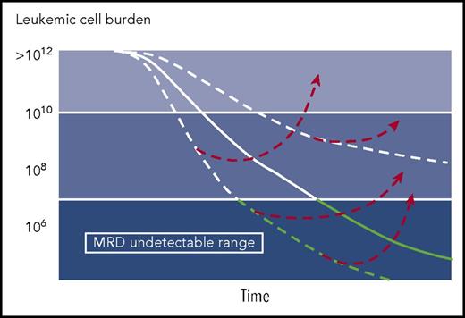 Different kinetics of response and relapse in various leukemias.