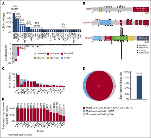 Figure 1. ctDNA mirrors the genetics of cHL. (A) Prevalence of nonsynonymous somatic mutations discovered in ctDNA of 15 cHL cases provided with HRS cells microdissected from the paired biopsy. The graph below shows the number and type of nonsynonymous somatic mutations identified in each gene. (B) The position and type of nonsynonymous somatic mutations identified by ctDNA genotyping of the most frequently mutated genes are reported at the top of the proteins. The position and type of nonsynonymous somatic mutations that have been detected in the tumor gDNA of published cHL series19 (ITPKB and TNFAIP3) or B-cell lymphomas of the COSMIC database (version 81; STAT6) are reported at the bottom of the protein. Shapes indicate the type of the mutations, whereas color codes indicate whether they have been identified in the paired microdissected HRS cells (red) or they lacked in the paired microdissected HRS cells (gray). (C) Number of mutations in a given tumor discovered in plasma ctDNA and/or tumor gDNA. Mutations are color coded if they were identified in both plasma ctDNA and tumor gDNA (red), only in plasma ctDNA (blue), or only in tumor gDNA (gray). (D) Venn diagram summarizing the overall number of mutations discovered in both plasma ctDNA and tumor gDNA (red), only in plasma ctDNA (blue), or only in tumor gDNA (gray). The corresponding overall sensitivity of plasma cfDNA genotyping in discovering biopsy-confirmed mutations is shown. (E) For each patient, the fraction of tumor biopsy-confirmed mutations that were detected in plasma ctDNA is shown. Patients are ordered by decreasing detection rates. The red portion of the bars marks the prevalence of tumor biopsy-confirmed mutations that were detected in plasma ctDNA. The gray portion of the bars marks the prevalence of tumor biopsy-confirmed mutations that were not detected in plasma ctDNA.
