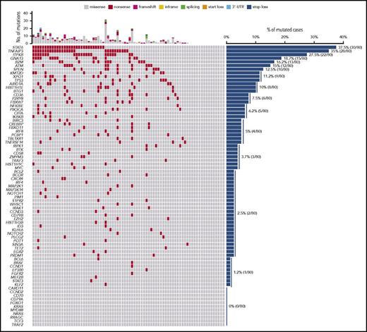 Figure 2. The mutational profile of newly diagnosed cHL. The heat map shows individual nonsynonymous somatic mutations detected in ctDNA of newly diagnosed cHL (n = 80). Each row represents a gene, and each column represents a primary tumor. The heat map was manually clustered to emphasize mutational co-occurrence. Mutations are color-coded in red. The number and type of nonsynonymous somatic mutations in any given patients is plotted above the heat map. The horizontal bar graph shows the gene mutation frequency.