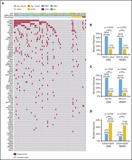 Figure 3. Distribution of mutations among cHL histologic subtypes. (A) The heat map shows individual nonsynonymous somatic mutations detected in ctDNA of newly diagnosed cHL (n = 80) clustered according to the histological subtype. Each row represents a gene, and each column represents a primary tumor. The heat map was manually clustered to emphasize mutational co-occurrence. Mutations are color-coded in red. EBER status is shown above the heat map. The bar graph compares the prevalence of the most frequently mutated genes between nodular sclerosis (NSCHL) and all the other cHL subtypes (B), between nodular sclerosis (NSCHL) and mixed cellularity (MCCHL) cHL (C), and between EBER positive and negative cases (D).