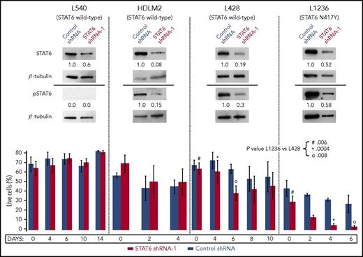 Figure 3. Downregulation of STAT6 triggers apoptosis of STAT6-mutated cHL tumor cells. (Top) ShRNA-mediated downregulation of total and phophoSTAT6 by western blotting in 4 cHL cell lines (1 representative experiment per cell line is shown, of 2-4 independently performed, that gave reproducible results); β-tubulin is used as a loading control, and the normalized levels of total and phosphoSTAT6, quantified by densitometry, are shown below the respective blots (solid lines denote distinct gels that were loaded with the same protein lysates and blotted separately). (Bottom) Raw percentage of live cells (AnnexinV-negative by flow cytometry) over time, after transduction of STAT6 shRNA-1 and control shRNA (day 0 = 96 hours after transduction and 48 hours after puromycin selection). Error bars (standard error of the mean) refer to at least 2 or 3 independent experiments per cell line per time point. P values refer to unpaired, 2-tailed t test. Supplemental Figure 14 shows the same data after normalizing the percentage of live cells in the shRNA-1 sample to the corresponding nontargeting shRNA control sample (set at 100%).