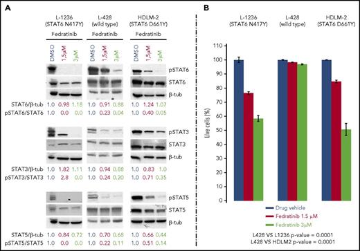 Figure 5. JAK2 inhibition leads to STATs dephosphorylation and apoptosis in cHL tumor cells carrying STAT6 or STAT3 mutations. (A) Western blot analysis of STAT6, STAT3, and STAT5 phosphorylation in L1236, L428, and HDLM2 cells analyzed 24 hours after treatment with the JAK2 inhibitor fedratinib (at the indicated concentrations) or with vehicle (dimethyl sulfoxide) as control (1 representative experiment per cell line is shown, of 3 independently performed, that gave reproducible results). Normalized levels of total STATs relative to β-tubulin, and of phospho-STATs relative to the corresponding total STATs, were quantified by densitometry and are shown below the respective blots. (B) Percentage of live cells (AnnexinV-negative by flow cytometry) in the same cell lines, measured 48 hours after treatment with fedratinib, relative to the vehicle set at 100%. Error bars (standard error of the mean) refer to 4 independent experiments, each done in duplicate; P values were computed by 2-way ANOVA.