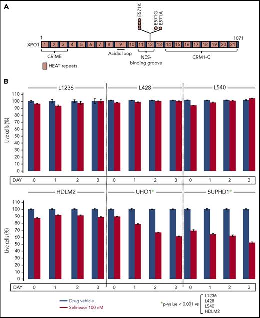 Figure 7. XPO1 mutations in cHL. (A) Schematic representation of the XPO1 protein and its functional domains, with the mutations found in cHL cases shown above. (B) Percentage of nonapoptotic cells (AnnexinV-negative by flow cytometry) assessed in 6 cHL cell lines at the indicated times after exposure to a low dose (100 nM) of the XPO1 inhibitor selinexor, or drug vehicle (dimethyl sulfoxide) as negative control (set at 100%). Day 0 corresponds to 48 hours of culture with selinexor or vehicle. Error bars refer to 3 independent experiments, each performed in triplicate; P values were calculated by 2-way ANOVA.