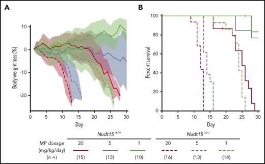 Figure 2. Nudt15 deficiency caused accelerated weight loss and early death resulting from toxicity during thiopurine therapy in mice. Nudt15−/− or wild-type mice received MP therapy (20, 5, or 1 mg/kg per day via IP injection) and monitored daily for weight loss (A) and survival (B). Across all dosage levels (red, brown, and green for 20, 5, and 1 mg/kg per day, respectively), weight loss was significantly more severe and precipitous in Nudt15−/− mice compared with wild-type mice (indicated by dashed vs solid lines, respectively), leading to significantly earlier death resulting from toxicity in the former. In panel A, each line represents the mean percent weight loss relative to baseline, and the shade of the same color indicates standard deviation within the respective group.