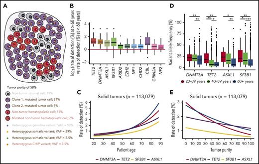 Figure 1. Detection of CHIP-associated alterations in comprehensive genomic profiling of solid tumor specimens. (A) In hybrid-capture, high-depth DNA sequencing, variants may arise from unfiltered germ line mutations present in all cells (blue dots), somatic mutations present in cancer cells (gold and green dots), and potentially somatic mutations present in nontumor cells (orange dots). If a somatic mutation is present in all cancer cells, then its expected VAF depends on tumor purity (ie, the percentage of tumor cells relative to all cells) and the chromosomal ploidy at its genomic locus. When the observed VAF of a mutation is significantly different from the frequency expected from tumor purity, it may only be present in a subpopulation of cancer cells or exist in nontumor elements. The VAFs in this sketch are calculated assuming a diploid genome in both tumor and nontumor cells. (B) The log odds ratio for rate of detecting genomic alterations in patients >60 years relative to those <60 years for 257 genes in each tumor type was calculated. Each data point on the boxplot represents the log odds for a single tumor type in a single gene. Genes presented have an adjusted P value of <1 by t test after Bonferroni correction for multiple hypothesis testing (*P < .05). (C) Logistic regression of rate of detection, by percentage of patients, for genomic alterations in DNMT3A, TET2, SF3B1, and ASXL1 as a function of patient age for all solid tumor samples. (D) VAF for genomic alterations in DNMT3A, TET2, SF3B1, and ASXL1 by age group (*P < .05, **P < 1e-05, and ***P < 1e-10, respectively as calculated by the Kruskal-Wallis test corrected with the Dunn test for multiple comparisons). Logistic regression of VAFs by age corroborates these results (supplemental Figure 5). (E) Logistic regression of the rate of detection versus tumor purity (DNMT3A, P < 2.0e-16; TET2, P < 2.0e-16; ASXL, P < 1.0e-06; and SF3B1, P < 1.9e-07).