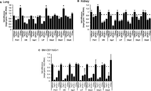 Figure 5. Attenuated interferon-regulated gene expression in the bone marrow and peripheral organs of LPS-challenged mice. Semiquantitative measurement of the indicated mRNAs relative to 18S rRNA by RT-PCR in (A) total lung, (B) kidney tissue, and (C) FACS-enriched bone marrow resident Gr1CD11bPOS cells of wild-type mice, mice lacking PAR2 or EPCR, and from TFLOW mice with reduced hematopoietic cell TF expression. Data are expressed as the fold increase relative to LPS-challenged wild-type mice and represent the average ± standard deviation from triplicate measurements of a single pooled sample generated by combining equal amounts of RNA prepared from 4 individual mice before reverse transcription (for lung and kidney tissue) or from 1 sample of RNA prepared from Gr1CD11bPOS cells isolated via FACS from the pooled bone marrows of 5 mice each. *P < .05 compared with wild-type controls.