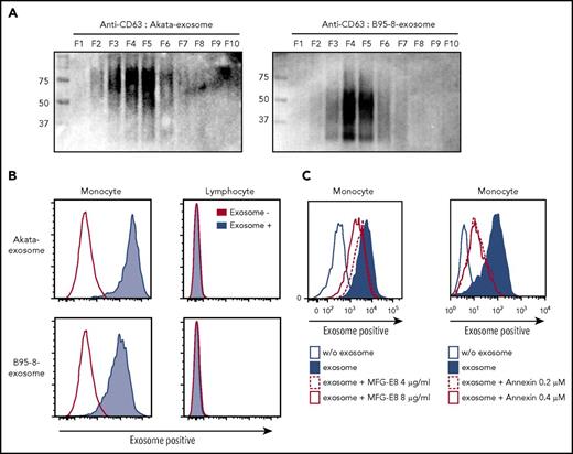 Figure 4. “Eat me” signal mediates exosome uptake by monocytes/macrophages. (A) Exosomes were collected from culture supernatant of Akata- and B95-8-LCLs by ultracentrifugation and further fractionated by iodixanol gradient centrifugation. CD63 expression in each exosome was detected by western blotting under nonreducing conditions. (B) PBMCs were treated with 2.5 mg/mL Akata and B95-8 exosomes for 48 hours. Flow cytometric analysis revealed strong incorporation of exosomes into monocytes, but not into lymphocytes. (C) Each dose of recombinant MFG-E8 and annexin V was added to the PBMCs and cultured for 4 days. Incorporation of PKH-labeled exosomes by monocytes was detected as described in Figure 4B. The inhibition of excess of MFG-E8 or annexin V on exosome uptake was repeated 5 times, using PBMCs derived from 2 individuals.
