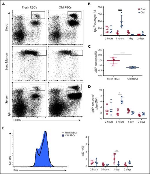 Figure 3. Ly6Chi monocytes emigrate from the bone marrow and home to the spleen after transfusion of old RBCs. Wild-type C57BL/6 mice were transfused with 350 μL of fresh or old RBCs and sacrificed at defined time points. (A) Flow plots depict increases in Ly6Chi monocytes in the blood and spleen and a decrease in the bone marrow at 5 hours posttransfusion. (B) Quantification of circulating Ly6Chi monocytes at defined time points demonstrating increased levels at 5 hours posttransfusion. (C) Quantification of bone marrow Ly6Chi monocytes demonstrating decreased levels at 5 hours posttransfusion. (D) Splenic Ly6Chi monocyte levels increase substantially at 5 hours posttransfusion. (E) Histogram of Ki67 staining of splenic Ly6Chi monocytes at 5 hours posttransfusion. Data representative of 3 experiments with at least 3 mice per group. *P < .05; **P < .01; ****P < .0001; ANOVA followed by Tukey posttest.