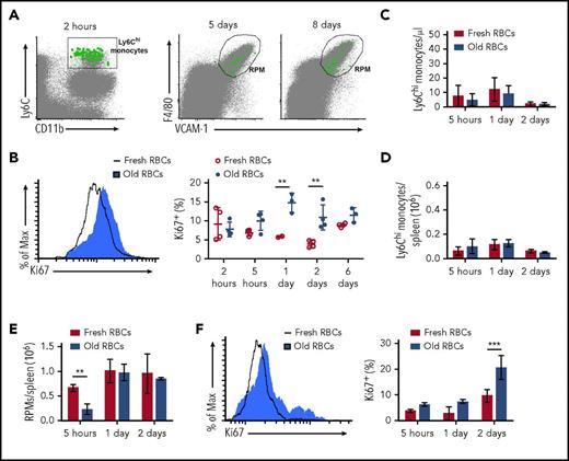 Figure 6. Splenic RPMs exhibit local self-maintenance following old RBC transfusion-induced cell death. (A) Bone marrow from UBC-GFP mice was harvested and enriched for Ly6Chi monocytes by negative selection. GFP+, Ly6Chi, CD115+, CD11b+ monocytes were then adoptively transferred to wild-type C57BL/6 recipients prior to transfusion of the latter with 350 μL of old RBCs. At 2 hours posttransfusion, GFP+ Ly6Chi monocytes were observed in the spleen. By 5 and 8 days posttransfusion, GFP+ RPMs (F4/80hi, VCAM-1hi) were observed in the spleen. (B) Wild-type C57BL/6 mice were transfused with 350 μL of fresh or old RBCs and sacrificed at defined time points. Splenic RPMs were stained with Ki67, demonstrating increased proliferation at 1 to 2 days after old RBC transfusions, as compared with RPMs from mice that received fresh RBCs. Histogram (left) of Ki67 staining at 1 day posttransfusion. (C) Ly6Chi monocyte cell numbers were quantified in the blood of CCR2−/− mice, demonstrating their absence. (D) Ly6Chi monocyte cell numbers were quantified in the spleens of CCR2−/− mice, demonstrating their absence. (E) The splenic RPM population in CCR2−/− mice is reduced by 5 hours after transfusions of old RBCs, but restored by 2 days posttransfusion. (F) By Ki67 staining, RPMs in CCR2−/− mice proliferate following transfusion of old RBCs, relative to RPMs in mice that received fresh RBCs. Histogram (left) of Ki67 at 2 days posttransfusion. **P < .01; ***P < .001; ANOVA with the Sidak posttest or unpaired Student t test. Data are representative of 3 independent experiments.