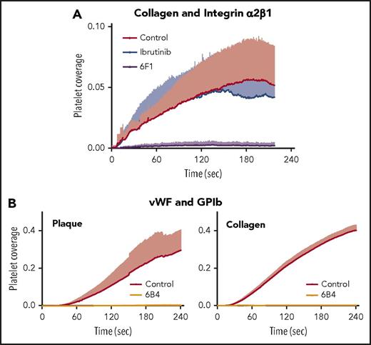 Figure 4. Mechanism of plaque-selective inhibition of platelet inhibition under flow by ibrutinib. (A) The anti-α2β1 antibody 6F1, but not ibrutinib, inhibits platelet adhesion onto immobilized soluble collagen under arterial flow. Blood was incubated for 15 minutes at 37°C before the start of flow (shear 600/s) with DiOC6, abciximab (20 µg/mL), and DMSO (0.1%; Control), ibrutinib (1 µM), or 6F1 (20 µg/mL). Data are mean + SD (n = 4). (B) The anti-GPIbα antibody 6B4 inhibits plaque- and collagen-induced platelet aggregate formation under arterial flow. Blood samples were incubated with DiOC6, in the absence or presence of 6B4 (5 µg/mL), before perfusion at a high shear rate (1500/s). Data are mean + SD (n = 4 or 5).