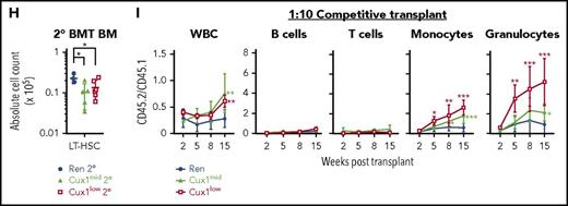 Transient hematopoietic expansion is followed by HSC exhaustion and BM failure in CUX1-knockdown BM transplant recipients. (A) Schematic of the BM transplant (BMT) time course. BM from Cux1mid, Cux1low, or Ren mice was transplanted into lethally irradiated C57BL/6 wild-type recipients. Four weeks after transplant, recipient mice were treated continuously with dox. Most mice were monitored long-term, up to 350 to 370 days of dox or time of euthanization because of disease. A cohort of mice was euthanization after 3 months of dox for analysis and to harvest BM for secondary transplantation. Secondary transplant recipients were given dox starting on the day of transplantation. (B) Kaplan-Meier plot shows decreased survival of Cux1mid and Cux1low BM transplant recipients (log-rank test). (C) Complete blood count analysis shows a transient WBC and platelet count expansion in Cux1 knockdown BM transplant recipients, whereas WBC, platelets, and RBCs were decreased by the time of euthanization. The mean ± SEM is shown. (D) Blood cell indices at the time of euthanization show a macrocytic anemia. The mean ± SD is shown. (E) BM from hind legs and hips, and spleen leukocyte cellularity at the indicated time points. Cell counts for Cux1mid spleens were not determined for the 3-month time point. (F) Cux1low BM transplant recipients have greater numbers of HSPC after 3 months of dox, as determined by flow cytometry. The mean ± SD is shown. (G) At the time that diseased mice were euthanized because of anemia and weakness, HSPC were decreased in Cux1 knockdown BM transplant recipients compared with Ren BM transplant recipients. The mean ± SD is shown. (H) Absolute LT-HSC from the BM of secondary BMT recipients is shown at the time of euthanization for disease in Cux1low recipients and after 350 days of dox for Cux1mid recipients. (I) Competitive BM transplantation was performed with Cux1low, Cux1mid, or Ren BM (CD45.2) at a 1:10 ratio with competitor BM (CD45.1). Dox was given on the day of transplant. One replicate of 3 biological replicates is shown, n = 6 mice per experimental group. Flow cytometry of the peripheral blood shows that Cux1mid and Cux1low HSPCs outcompete controls in the total WBC population and myeloid lineages. The mean ± SD is shown. All data were analyzed with Wilcoxon rank test, *P ≤ .05, **P ≤ .01, ***P ≤ .001.