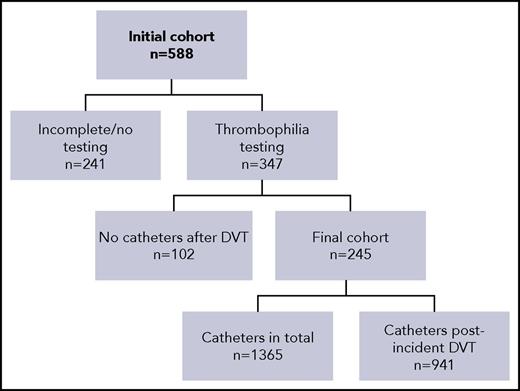 Figure 1. Patient inclusion flowchart.
