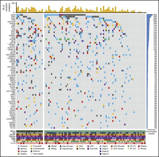 Figure 1. List of the top somatic mutation targets in Chinese DLBCLs. Genes affected by nonsilent, somatically occurring mutations in ≥5 DLBCL samples in the discovery cohort (5% of 96 cases) and considered to be significantly mutated (q value < 0.1) are displayed. Novel significant mutation targets identified in our cohort are marked with an asterisk (red). IPI, international prognostic index; LDH, lactate dehydrogenase (level); P/R, primary/relapse.