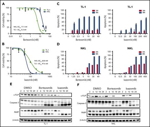 Figure 5. Proteasome inhibitors decrease viability and induce apoptosis in LGL leukemia cell lines through increased caspase-3 and PARP cleavage and downregulation of c-FLIP. (A) Bortezomib decreases viability in LGL leukemia cell lines. TL-1 and NKL cells were treated with bortezomib at varying concentrations for 48 hours, and cell viability was assessed using an MTS assay. (B) Ixazomib decreases viability in LGL leukemia cell lines. TL-1 and NKL cells were treated with ixazomib at varying concentrations for 48 hours, and cell viability was assessed using an MTS assay. (C) Proteasome inhibitors induce apoptosis in TL-1 cells. TL-1 cells were treated with bortezomib or ixazomib at varying concentrations for 24 or 48 hours, and cells were stained for apoptosis with Annexin-V and 7-AAD and analyzed by flow cytometry. (D) Proteasome inhibitors induce apoptosis in NKL cells. NKL cells were treated with bortezomib or ixazomib at varying concentrations for 24 or 48 hours, and cells were stained for apoptosis with Annexin-V and 7-AAD and analyzed by flow cytometry. (E) Proteasome inhibitors decrease expression of the NF-κB target c-FLIP and induce caspase-3 and PARP cleavage in TL-1 cells. TL-1 cells were treated with bortezomib (5 nM) or ixazomib (100 nM), and protein was harvested at various time points. Western blot analysis was performed for c-FLIP, caspase-3, and PARP. (F) NKL cells were treated with bortezomib (5 nM) or ixazomib (100 nM) and protein was harvested at various time points. Western blot analysis was performed for c-FLIP, caspase-3, and PARP expression. 50% effective concentration (EC50) values were determined by nonlinear regression in GraphPad Prism.