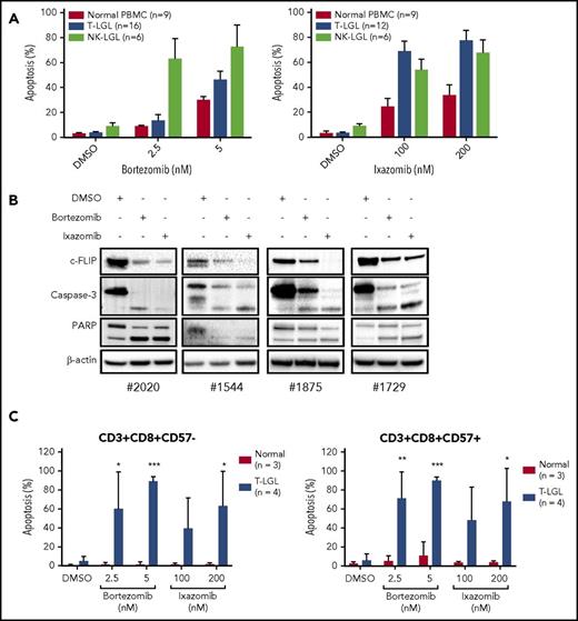 Figure 6. Proteasome inhibitors induce apoptosis in LGL leukemia samples. (A) PBMCs from normal donors (n = 9), T-LGL patients (n = 16), and NK-LGL patients (n = 6) were treated with DMSO or bortezomib (2.5 or 5 nM) for 48 hours, and cells were stained for apoptosis with Annexin-V and 7-AAD and analyzed by flow cytometry (left). PBMCs from normal donors (n = 9), T-LGL patients (n = 12), and NK-LGL patients (n = 6) were treated with DMSO or ixazomib (100 or 200 nM) for 48 hours, and cells were stained for apoptosis with Annexin-V and 7-AAD and analyzed by flow cytometry (right). (B) PBMCs from patients with T-LGL leukemia were treated with proteasome inhibitor bortezomib (5 nM) or ixazomib (100 nM) for 24 hours, and c-FLIP, caspase-3, and PARP cleavage was determined by western blot assay. Equal loading for all western blot assays was confirmed by probing with a β-actin antibody. (C) PBMCs from normal donors (n = 3) and T-LGL patients (n = 4) were treated with DMSO, bortezomib, or ixazomib for 48 hours. Cells were stained for CD3, CD8, CD57 and apoptosis markers. *P < .05, **P < .01, ***P < .001 (1-way ANOVA) significant differences between T-LGL patients and normal donors.