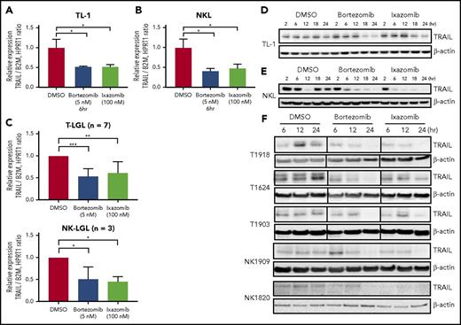 Figure 7. Proteasome inhibitors downregulate TRAIL expression in leukemic LGLs. (A-C) TL-1 (A), NKL (B), and LGL PBMCs (C; T-LGL n = 7, NK-LGL n = 3) were treated with bortezomib, ixazomib, or DMSO vehicle for 6 hours. Relative TRAIL mRNA expression was determined by quantitative real-time PCR. Values are presented as mean ± SEM. *P < .05 indicates significant difference between DMSO and proteasome inhibitor treatments (Student t test). In panel C, **P = 1.84E−5 and ***P = .0015. (D-F) LGL leukemia cell line TL-1 (D), NKL (E), or LGL patient PBMCs (F; T-LGL n = 4; NK-LGL n = 2) were treated with bortezomib (5 nM), ixazomib (100 nM), or DMSO, and total protein samples were collected to assess TRAIL protein levels by immunoblotting assay. Equal loading for western blot assay was confirmed by probing with β-actin antibody. Vertical lines within some patient blots indicate regions where lanes were removed from the image in order to show identical time points for all samples.