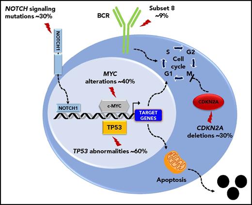 Figure 2. Key molecular alterations of DLBCL-type RS. Genes and pathways that are molecularly deregulated are schematically represented. The prevalence of molecular alterations is reported beside each gene or pathway.