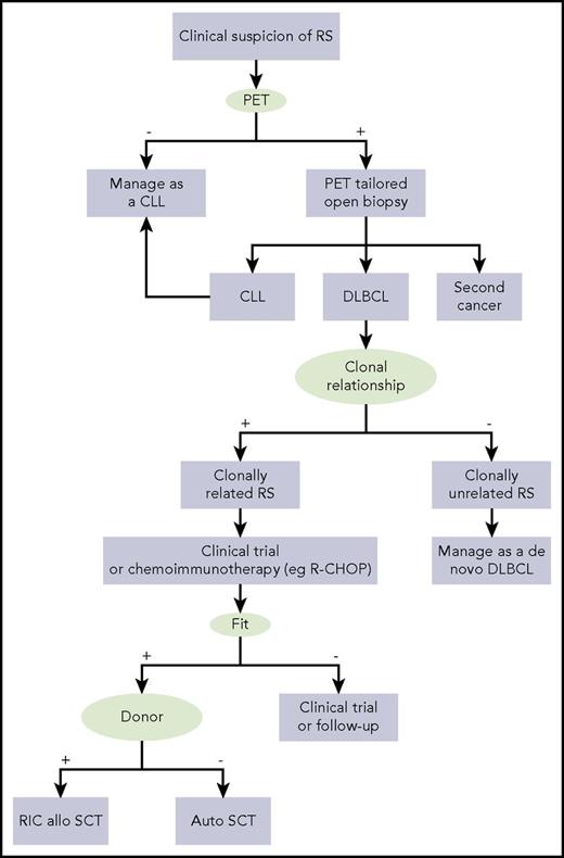 Figure 3. Algorithm for the management of DLBCL-type RS.