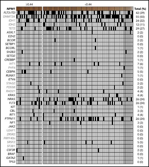 Figure 1. Comutational profiles for all patients with de novo AML with mutated NPM1. All cases of de novo AML with mutated NPM1 evaluated (n = 109). Each column represents an individual patient. Intensity gradient corresponds to NPM1 VAF, and patients in highest VAF quartile (≥0.44) are shown. All comutations, including FLT3-ITD status, provided in binary format.
