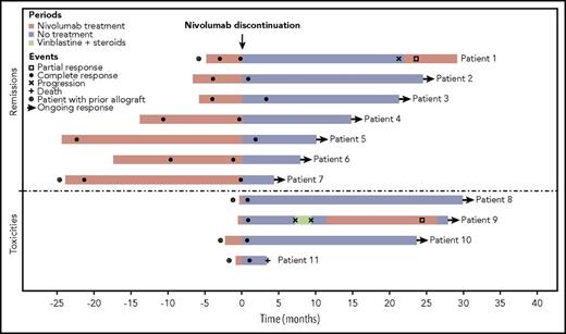 Figure 1. Outcome of patients after nivolumab discontinuation.