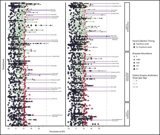 Figure 1. Timeline depicting longitudinal changes in butyrate-producing bacteria abundance and viral LRTI events following engraftment. Patients are sorted into 3 groups, depending on the abundance of butyrate-producing bacteria in the engraftment sample (triangle). For the most part, abundances were high at the start of allo-HCT, but declined as antibiotics (green lines) were administered. Viral lower respiratory tract events are depicted with their associated respiratory viruses by the purple lines following engraftment. Adeno, adenovirus; Corona, coronavirus; FluA, influenza virus type A; FluB, influenza virus type B; Metapneumo, human metapneumovirus; Paraflu1, parainfluenza virus type 1; Paraflu3, parainfluenza virus type 3; Rhino, rhino-/enterovirus; RSV, respiratory syncytial virus.