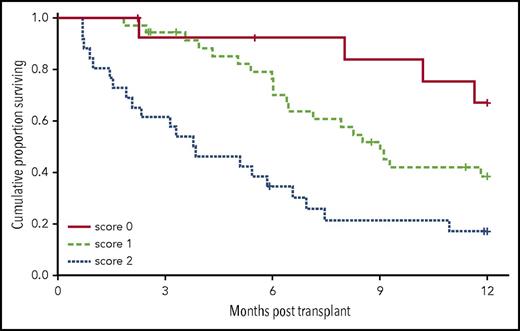Figure 1. OS based on the number of risk factors.