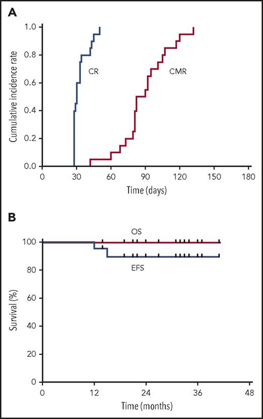 Figure 1. The outcomes of high-risk APL patients. The cumulative incidence rate of hematologic CR and CMR (A), and EFS and OS (B) for high-risk APL patients treated with oral arsenic and ATRA.