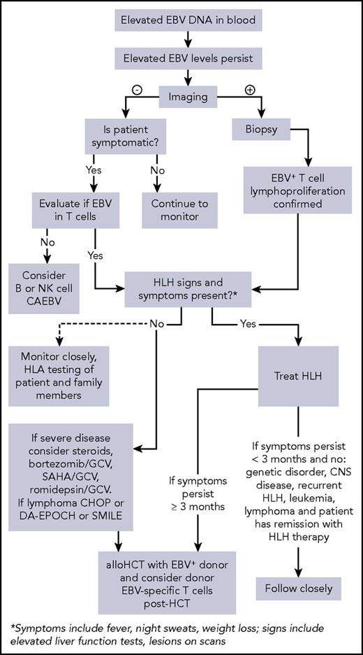 Figure 1. Algorithm for evaluation and treatment of chronic active EBV. allo, allogeneic; CNS, central nervous system; DA-EPOCH, dose-adjusted etoposide, prednisone, vincristine, cyclophosphamide, and doxorubicin; GCV, ganciclovir; SAHA, suberoylanilide hydroxamic acid; SMILE, dexamethasone, methotrexate, ifosfamide, l-asparaginase, and etoposide.