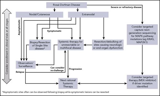 Figure 4. A proposed management algorithm for patients with RDD.