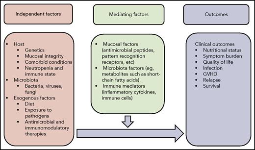 Model of the interaction of host, microbiota, and exogenous factors to generate mediating factors that affect the occurrence or protection from HCT complications. GVHD, graft-versus-host disease.