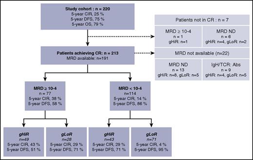 Figure 1. Patient flowchart. Abs, absence; IgH/TCR, immunoglobulin and T-cell receptor markers; ND, not done.
