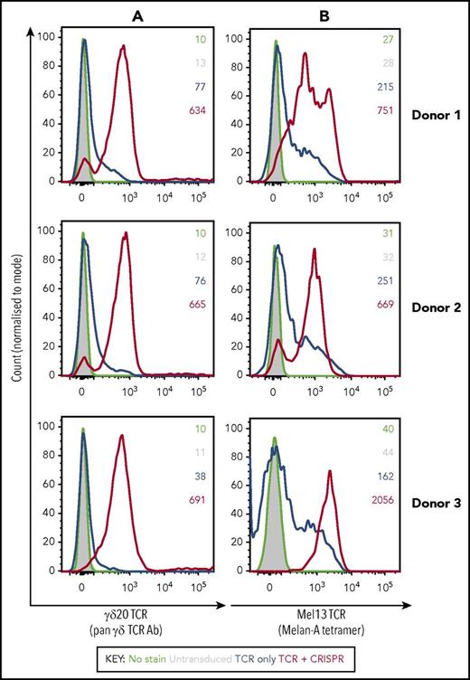 Figure 2. The expression of transduced TCRs in primary CD8+ αβ T cells derived from 3 healthy donor PBMCs is markedly increased in the presence of CRISPR/Cas9 specific for endogenous TCR-β. Histograms represent staining of transduced CD8+ cells with a pan-γδ TCR antibody (A) or with a HLA-A2:EAAGIGILTV tetramer cognate for Mel13 TCR (B), whereas the numbers refer to geometric mean intensity of staining. Black indicates unstained control; gray, untransduced T cells; blue, transduced only with a TCR; red, transduced with a TCR and CRISPR.