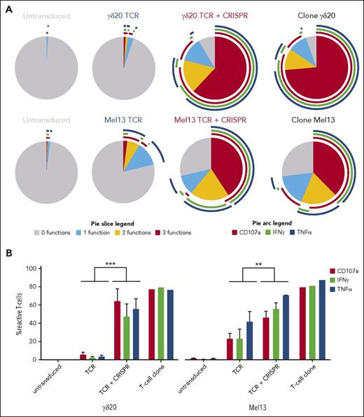 Figure 3. The functional response to target cell lines is significantly increased in CD8+ T cells cotransduced with TCR and CRISPR/Cas9 specific for endogenous TCR-β. (A) Polyfunctionality plots representing the response of transduced and untransduced T cells in comparison with the parental T-cell clone. Top row, The response to a B-LCL line preincubated with zoledronate by cells transduced with the γδ20 TCR. Bottom row, Responses to an HLA-A2+ melanoma cell line by cells transduced with the Mel13 αβ TCR. Only viable CD3+ cells were included in the analysis whereas the gates for cells positive for a given function were set based on appropriate fluorescence minus 1 and biological controls. Representative data from 2 independent experiments and 3 donors are shown. (B) The response of transduced T cells to target cell lines, in terms of CD107a, IFNγ, and TNFα expression (mean and standard deviation from 3 donors are shown). The percentage of cells that were positive for a given function in absence of cognate stimulus (ie, T cells plus B-LCL for γδ20 TCR, and T cells alone for Mel13 TCR) was subtracted from the percentage of cells positive in the presence of cognate stimulus (ie, T cells plus B-LCL preincubated with zoledronate or T cells plus HLA-A2+ melanoma cell line, respectively). The statistical significance of difference between the response of cells transduced only with TCR or with TCR plus CRISPR was measured by the paired Student t test. ***P = .0001; **P = .002.