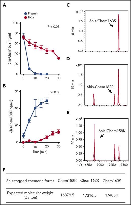 Figure 2. FXIa cleavage of 6his-chem163S produces 6his-chem162R and 6his-chem158K. (A-B) Purified 6his-chem163S was incubated in assay buffer in the presence of 100 nM FXIa or 100 nM plasmin. Aliquots of reactions were removed every 5 minutes for 30 minutes, PPACK and ethylenediaminetetraacetic acid were added and analyzed by 6his-chem163S ELISA (A) or 6his-chem158K ELISA (B). Data points are the mean ± standard error of the mean from 3 independent experiments. (C-E) Purified 6his-chem163S was incubated with 30 nM FXIa for 0 minutes (C), 15 minutes (D), and 30 minutes (E) and analyzed by MALDI-TOF mass spectrometry. A representative experiment is shown. (F) The expected molecular weights of 6his-tagged chemerin forms were summarized to identify corresponding molecules in panels C-E.