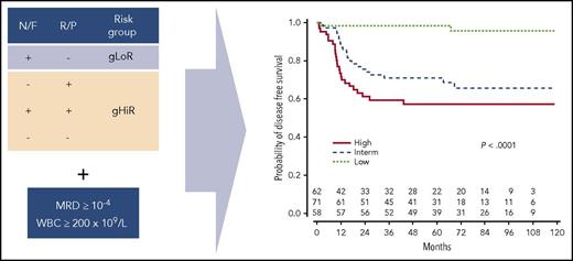 The genomic classifier separates patients into a gLoR or gHiR group based on the presence (+) or absence (−) of Notch1/FBXW7 (N/F) and Ras/PTEN (R/P) mutations. Subsequent integration with MRD status and WBC count allows stratification into 3 discrete clinical risk groups. Interm, intermediate. Adapted from Figure 5 in the article by Petit et al on page 289.