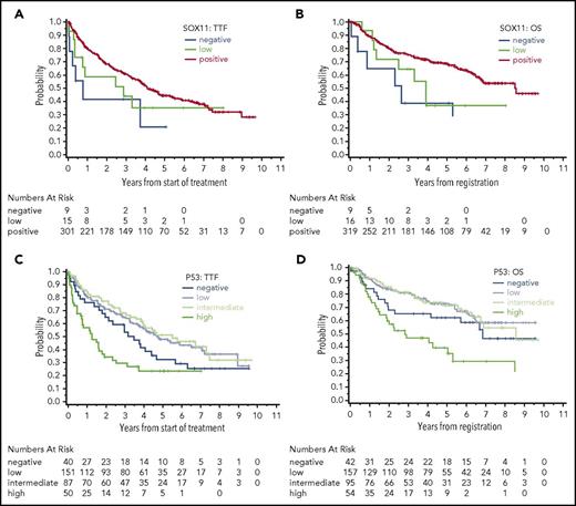 Figure 1. SOX11 and TP53 expression. Shown are the associations of SOX11 with (A) TTF and (B) OS and of TP53 expression with (C) TTF and (D) OS.